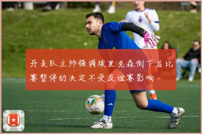 丹麦队主帅强调埃里克森倒下后比赛暂停的决定不受友谊赛影响